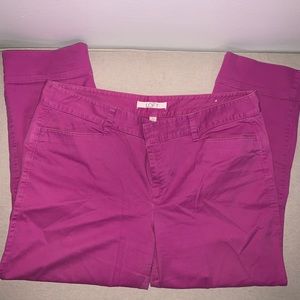 LOFT Magenta Crop Pants Size 14